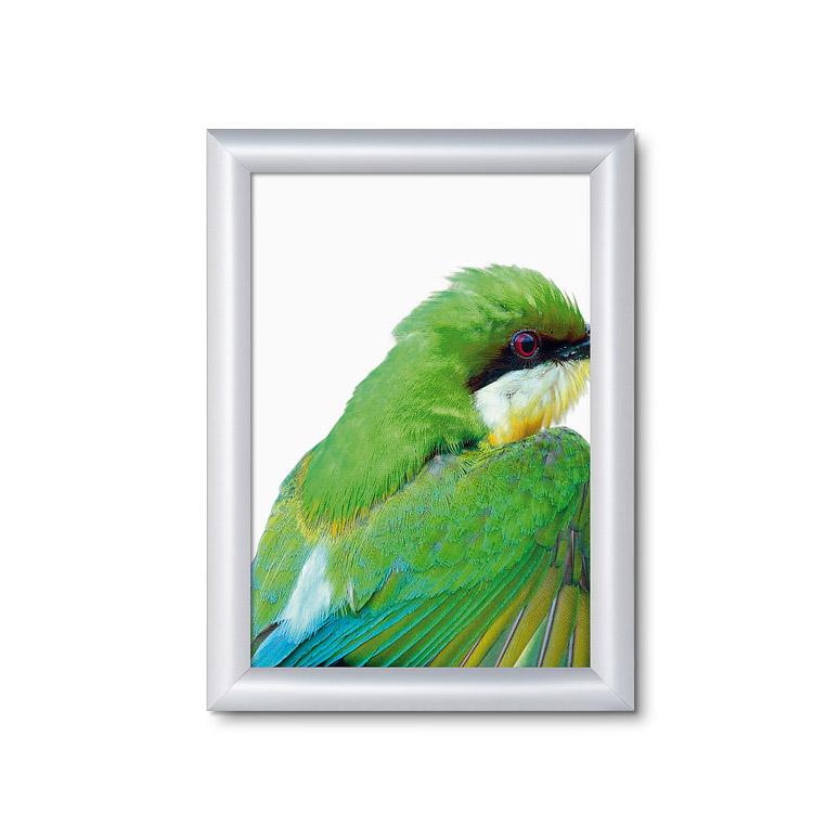Small poster holder with snap frame in silver PF-M25-8-5-11