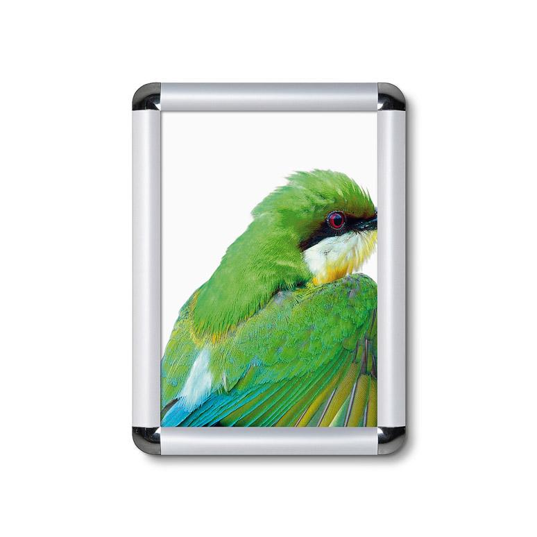 8.5x11 Snap Frame with rounded corners