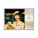 Silver poster frame in landscape orientation with graphics