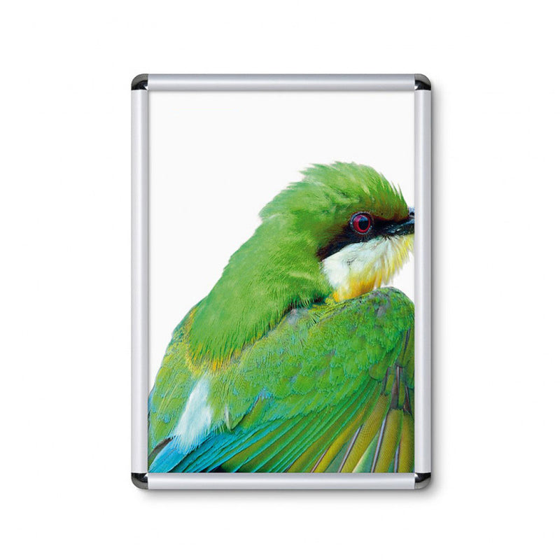 Round Edges Poster. Box Poster Frame | Snap Open | 1 inch | Aluminum | Rounded Corners ...